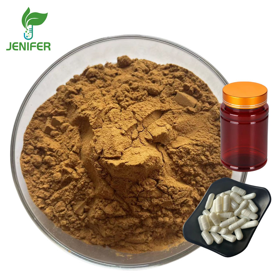 Ginkgo Seed Fruit Extract 10:1Natural Ginkgo Extract Powder