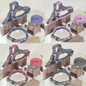 طوق وحبل كلاب عصري ناعم من النايلون المبطن القوي مع إغلاق بخطاف وحلقة، سهل التنظيف، الأكثر مبيعًا لعام 2023 - Product Image 3