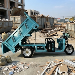 2026 New Heavy Duty Tricycle 300-500kg Load Open Body Large <b>Box</b> Farm Transport Available - Product Image 2