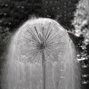 Fuente de chorro al aire libre jardín <span class=keywords><strong>lago</strong></span> estanque decoración RGB luz LED Acero inoxidable flotante baile agua música fuente - Product Image 5