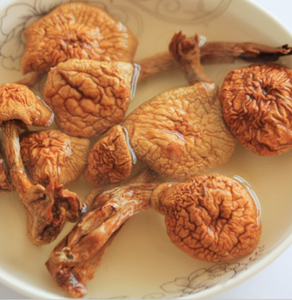 Nấm Pholiota Sấy Khô Huaxigu Trồng Bán Sỉ Nấm Pholiota - Product Image 5