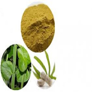 Poudre d'extrait de Cissus Quadrangularis naturel jaune de haute qualité, extraite par solvant, qualité alimentaire, d'Inde, vente en gros, best-seller - Product Image 2