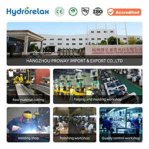 हाइड्रेorelax जस्ता मिश्र धातु आर्क बट लॉक, शॉवर रूम और बाथरूम ग्लास दरवाजा के लिए आधुनिक सरल डिजाइन - Product Image 5