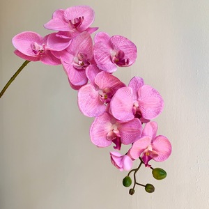 Orchidée Phalaenopsis Artificielle Muyu Chronicles, Branche Unique, Violet Clair, 9 Têtes, Décoration de Mariage - Product Image 2
