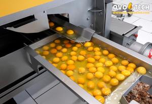 Rompehuevos OVO-TECH RX-2, la Separación Automatizada de Cáscaras de Huevo, Capacidad de 13000 Huevos por Hora - Product Image 3