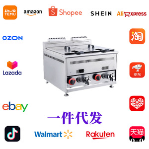Commercial Gas Fryer Twin Cylinder 18L Stainless Steel Tabletop For Meat Products LPG LNG - Product Image 2