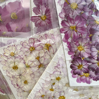 Ciondolo in resina con fiori pressati di Cosmos, vero fiore essiccato di Cosmos per sigillo in ceralacca, cornice nuziale, decorazione floreale
