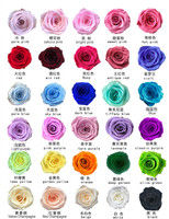 SZ04 Têtes de roses éternelles conservées, coffret cadeau de roses éternelles, décoration longue durée, roses éternelles