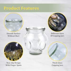 Tenchi 12-teiliges Glas-Schröpftherapie-Set Professionelle Chinesische Massage-Cups Schmerzlinderung Myofasziale Entspannung Akupunktur - Product Image 4