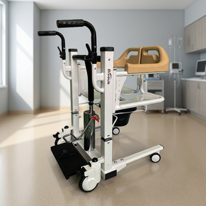 Silla Elevadora Multifuncional Moderna para Pacientes DIVOUS DZ03B, Silla Hidráulica para Transferencia de Discapacitados con Reposabrazos - Product Image 1