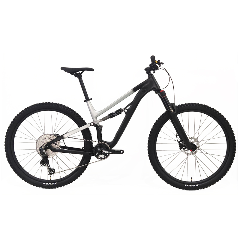Cheaper Downhill Mountain Bike Price - Quality & Style