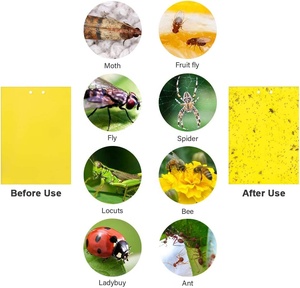 Cao hiệu quả ngoài trời Vườn Orchard trái cây Fly double side keo mạnh mẽ bẫy với 12 gói - Product Image 2