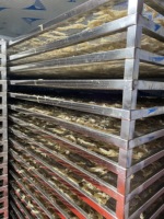 Séchoir à air à faible consommation d'énergie, machine industrielle de déshydratation alimentaire, idéale pour sécher le kiwi, les myrtilles, les tranches de pommes de terre, la papaye