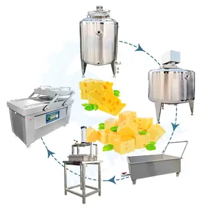 Small Scale Industrial High Productivity Cheese Vat 500 Liter Cheese Make Machine Process Line