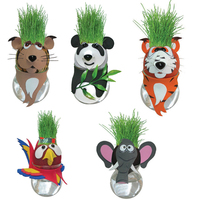 Mini Pot de plantes magique, poupée de tête d'herbe d'intérieur plante en Pot jardin aménagement paysager terrasse bricolage poupée en Pot avec cheveux d'herbe