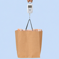 Sacs en papier kraft écologiques avec poignées torsadées et fond plié pour boutiques, cadeaux de mariage et plats à emporter