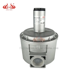 วาล์วลดแรงดันแก๊สสำหรับหม้อไอน้ำอุตสาหกรรมแบบปรับได้ตามสั่ง รุ่น JR <span class=keywords><strong>JGV</strong></span>-32R10 DN32 ผลิตจากอะลูมิเนียมหล่อ พร้อมเกลียว/หน้าแปลน ขายส่ง - Product Image 4