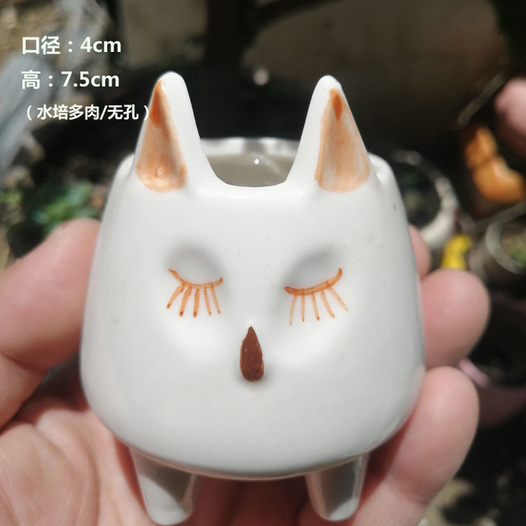 Hc-005-fox without holes