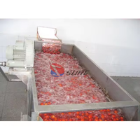 Nouvelle ligne de production de concentré de tomate de conception/machine faisant la pâte de tomate/équipement de pâte de tomate
