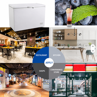Congélateur coffre horizontal commercial BD-200, 200L, chargement par le haut, porte simple, congélateur coffre profond pour la maison, les restaurants, les cuisines, les magasins
