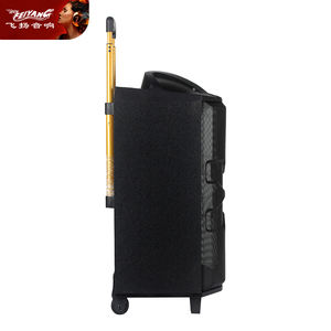 MIC Street Dancing Mobile PORTABLE En Bois Multimédia Unique 12 Pouces Mobile BT ACTIVE DJ PA Karaoké KARAOKE Audio Haut-Parleur - Product Image 3