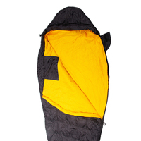 Produits les plus vendus OEM/ODM Sacs de couchage pour adultes en polyester Sacs de couchage de type momie pour l'extérieur