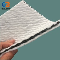 Filet de drainage géocomposite en gros pour usine avec géotextile et géonetz en PEHD, couche de drainage composite pour décharges.