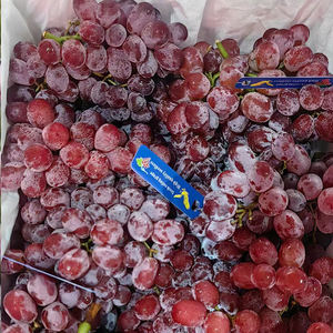 Raisins rouges du Yunnan 16 ° Brix Fresh Style, privilèges de réservation anticipée pour la culture en haute altitude à 1 800 m - Product Image 1