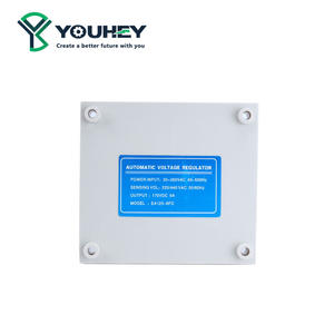 Accessoires pour générateur EA125-8FC : Régulateur de tension automatique (AVR) et stabilisateur de plaque - Product Image 5