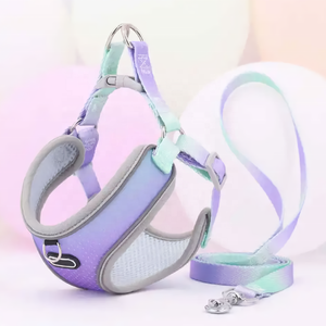 Néon couleur Xs petit animal de compagnie maille <span class=keywords><strong>harnais</strong></span> laisse ensemble minuscule sangle réfléchissante réversible <span class=keywords><strong>chien</strong></span> gilet vêtements chiot Teddy <span class=keywords><strong>chien</strong></span> <span class=keywords><strong>harnais</strong></span> - Product Image 1