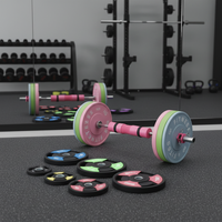 Plaques de poids colorées Lingxi de 5 cm de diamètre avec poignées pour la musculation à domicile, la perte de graisse et le renforcement musculaire