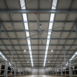 Ventilateur de plafond robotisé pour laitierie, air doux à faible vitesse pour les vaches visitant l'AMS la nuit, moteur à entraînement direct PMSM - Product Image 1