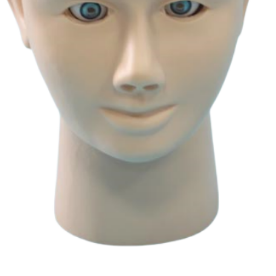 Ada แบบผ้าพันแผลขั้นสูงแบบจำลองการตรวจจอประสาทตาด้วย PVC สำหรับการเรียนรู้ของนักเรียน - Product Image 6