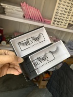 Fournisseurs de cils Vente en gros 5D Faux cils de vison 15mm 20mm 3D Mimics Lash Extensions Cruelty Free Russian Spike Lashes