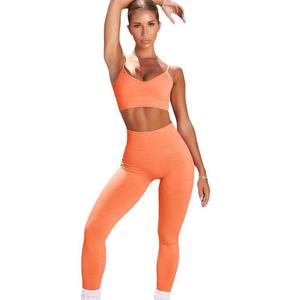 Conjunto de Yoga OEM Pilates, Sujetador Deportivo Transpirable sin Costuras de Secado Rápido, Pantalones, Conjunto de 2 Piezas para Mujer, Ropa Deportiva de Alta Calidad de Secado Rápido - Product Image 5