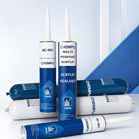 Mastic acrylique blanc de qualité professionnelle 300 ml pour réparation de fissures et joints, anti-fissuration, pour fissures murales