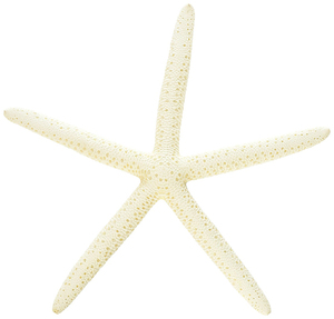 Adornos de Estrellas de Mar de Resina Blanca con Tema de Playa, Decoración de Boda de Estrellas de Mar para la Venta - Product Image 1