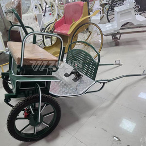 Popular ZOWN Mini Green Marathon Horse Cart, Carroza de Caballos Única de 2 Ruedas para 4-6 Personas, Carroza de Paseo Elegante para Venta - Product Image 3