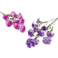 Ramo de Claveles Artificiales para Decoración de Techos de Salones de Boda, Guirnalda Floral para Pasillos, Venta al por Mayor Transfronteriza de Seda