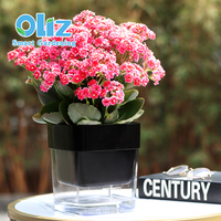 Pots à fleurs en plastique transparent double, forme rectangulaire noire, pour plantes, décoration nordique pour la maison et l'utilisation en jardin