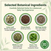 Bolsitas de Té Detox de 14 Días, Mezcla Herbal con Vitaminas para Adultos, para Control de Peso, Té Adelgazante, Bolsitas Individuales, OEM, ODM, Personalizado