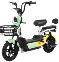 Sepeda Listrik Kota Dewasa dengan Daya Tahan Baterai Ultra-Lama Standar Nasional Baru 48v Skuter Roda Dua dengan Desain Sederhana dan Modis