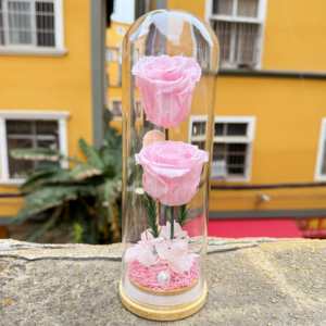 Rosa Preservada en Cúpula de Cristal, Regalo de San Valentín al por Mayor, Rosas Eternas Reales con Caja de Regalo - Product Image 2