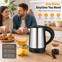 Bouilloire Électrique Mini en Gros 0.8L 800W Acier Inoxydable Poli Sablé Intérieur Couvercle en Acier Portable Prise UE
