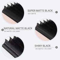 Plateaux d'extensions de cils en volume Cachemire noir mat, courbures C CC D L M, 5-25mm, 0.03 0.05 0.07, avec logo personnalisé, vente en gros