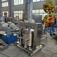 Hete Verkoop Multifunctionele Hydraulische Juicer Fabriek Groentefilter Extractor Hydraulische Druivensap Koud Fruit Persmachine