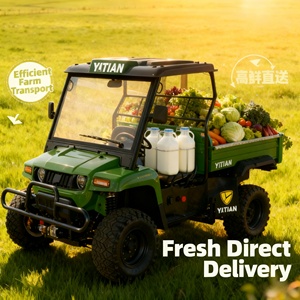 UTV <span class=keywords><strong>électrique</strong></span> <span class=keywords><strong>4x4</strong></span> certifié E-mark |   Camion <span class=keywords><strong>utilitaire</strong></span> agricole <span class=keywords><strong>électrique</strong></span> personnalisable pour l'agriculture européenne - Product Image 2