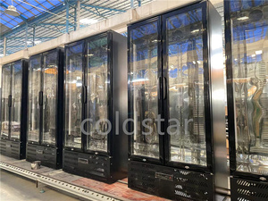 Frigorifero Commerciale a <span class=keywords><strong>Doppia</strong></span> <span class=keywords><strong>Porta</strong></span> per Bar, Vetrina Espositiva per Bevande, Design con Alette in Alluminio, Congelatore per Bar - Product Image 3