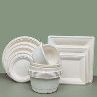 Assiette carrée jetable biodégradable en pulpe de canne à sucre, pour camping et extérieur, fournie directement par l'usine