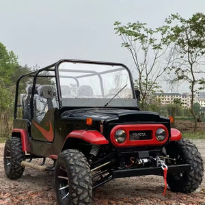 Jeeps Automáticos para Adultos de Gasolina/Eléctricos en Venta, Mini Jeeps de 2 Plazas, Vehículos Todoterreno con Exterior Personalizado - Product Image 1